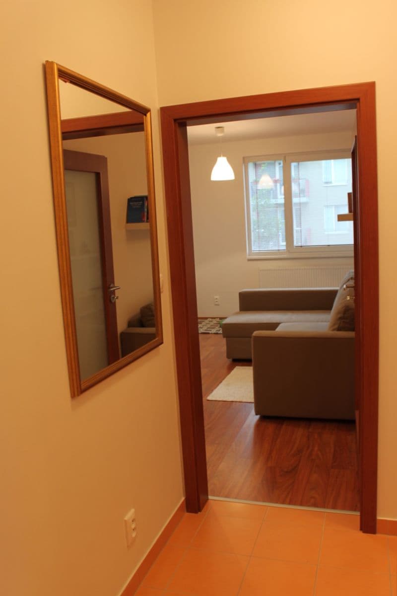 1 bedroom with open-plan kitchen flat to rent, 49 m², Babická, Prague, Prague 1 bedroom with open-plan kitchen flat to rent, 49 m², Babická, Prague, Prague