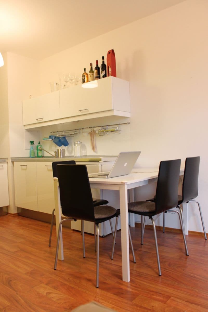1 bedroom with open-plan kitchen flat to rent, 49 m², Babická, Prague, Prague 1 bedroom with open-plan kitchen flat to rent, 49 m², Babická, Prague, Prague