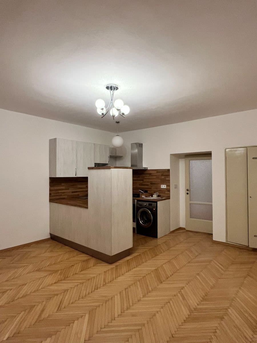 1 bedroom with open-plan kitchen flat to rent, 60 m², Bělohorská, Prague, Prague 1 bedroom with open-plan kitchen flat to rent, 60 m², Bělohorská, Prague, Prague