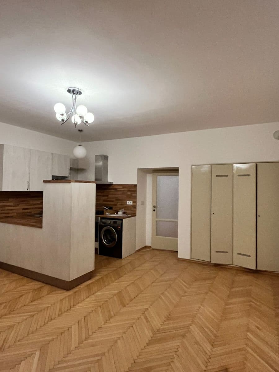 1 bedroom with open-plan kitchen flat to rent, 60 m², Bělohorská, Prague, Prague 1 bedroom with open-plan kitchen flat to rent, 60 m², Bělohorská, Prague, Prague