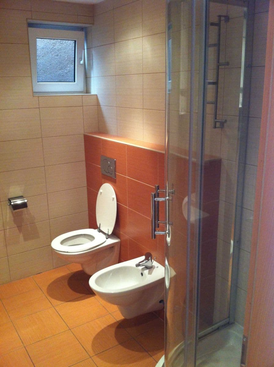 1 bedroom with open-plan kitchen flat to rent, 54 m², Lužická, Prague, Prague 1 bedroom with open-plan kitchen flat to rent, 54 m², Lužická, Prague, Prague