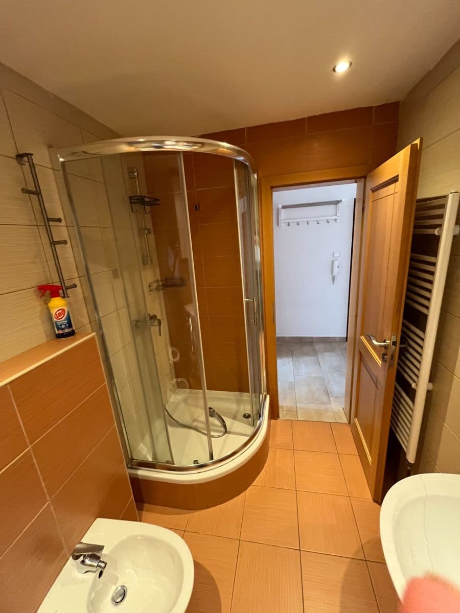1 bedroom with open-plan kitchen flat to rent, 54 m², Lužická, Prague, Prague 1 bedroom with open-plan kitchen flat to rent, 54 m², Lužická, Prague, Prague