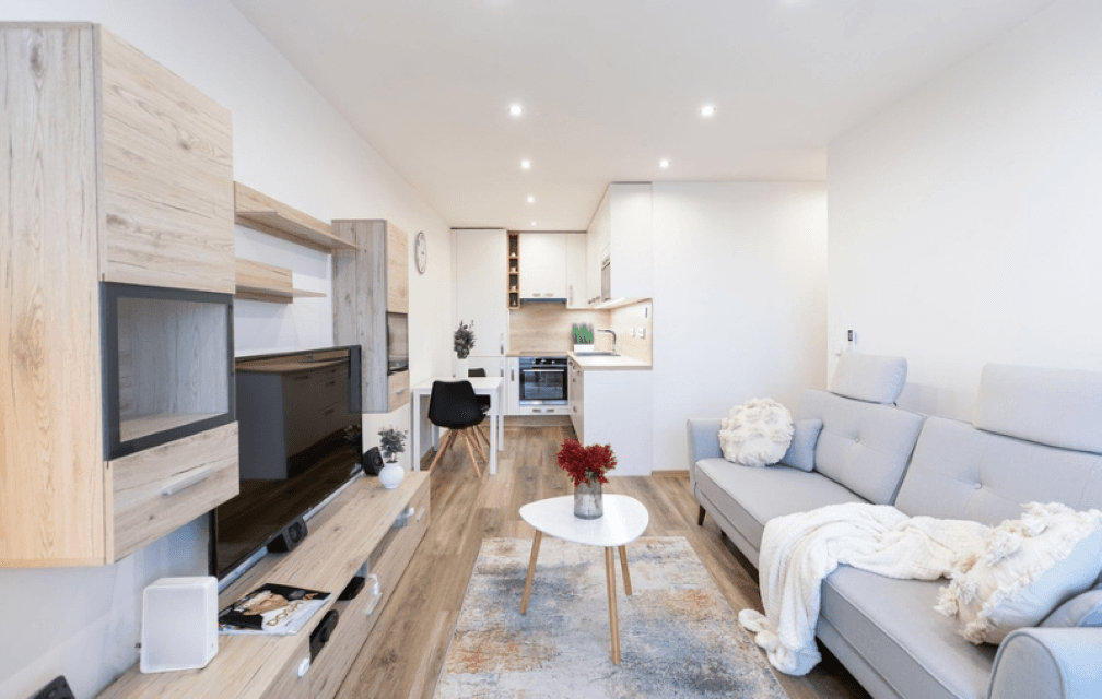 1 bedroom with open-plan kitchen flat to rent, 45 m², Lovosická, Prague, Prague 1 bedroom with open-plan kitchen flat to rent, 45 m², Lovosická, Prague, Prague
