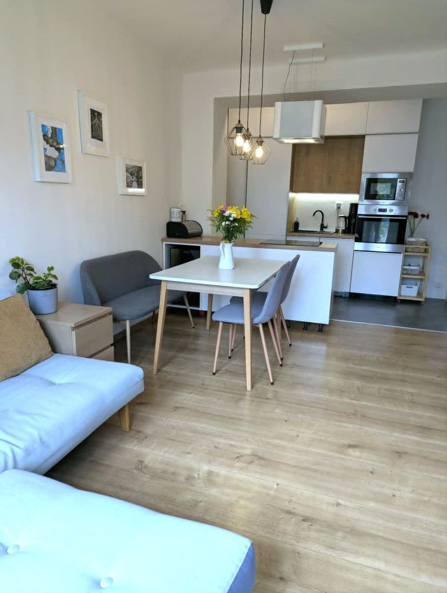 2 bedroom with open-plan kitchen flat to rent, 53 m², Hartigova, Prague, Prague 2 bedroom with open-plan kitchen flat to rent, 53 m², Hartigova, Prague, Prague