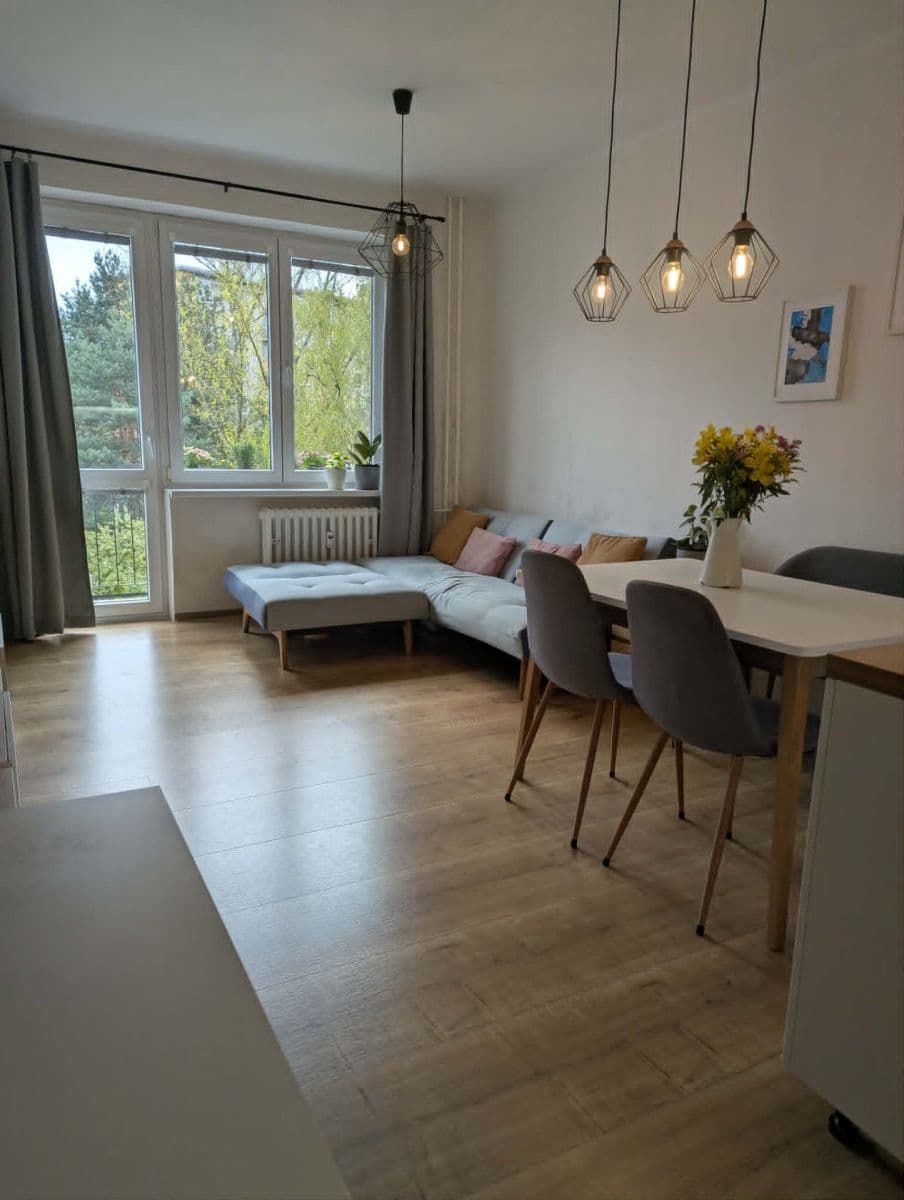 2 bedroom with open-plan kitchen flat to rent, 53 m², Hartigova, Prague, Prague 2 bedroom with open-plan kitchen flat to rent, 53 m², Hartigova, Prague, Prague