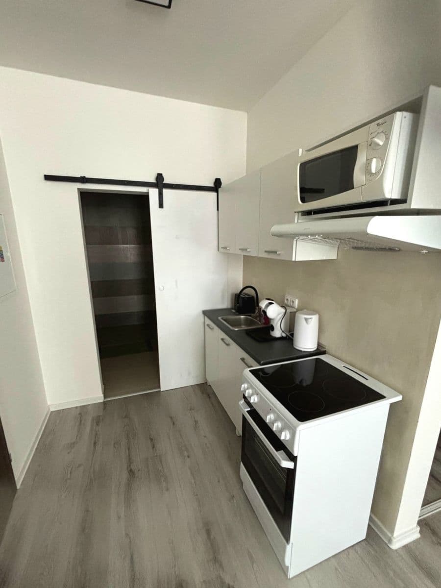 1 bedroom with open-plan kitchen flat to rent, 52 m², Čejkova, Brno, Jihomoravský Region 1 bedroom with open-plan kitchen flat to rent, 52 m², Čejkova, Brno, Jihomoravský Region
