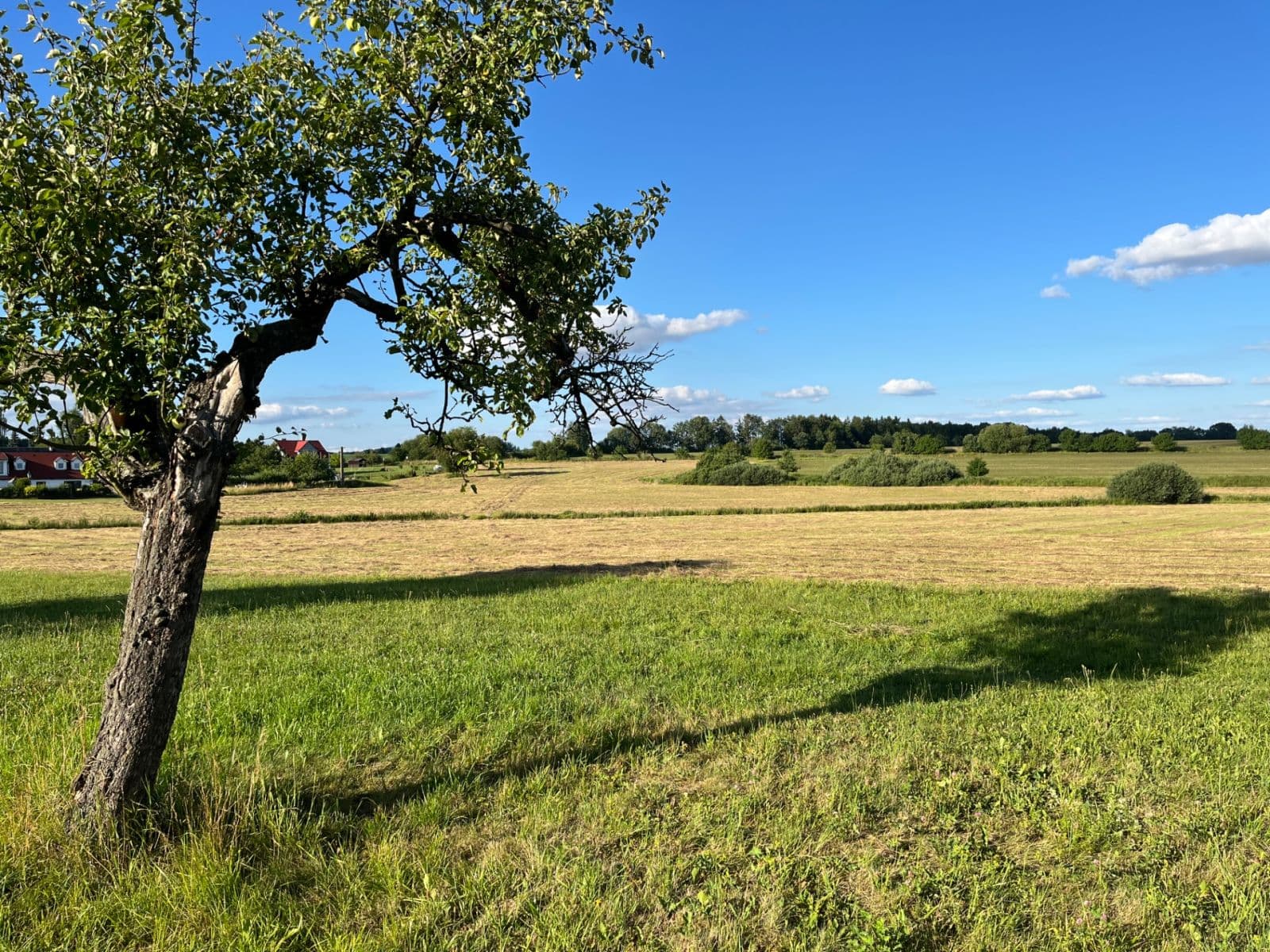 plot for sale, 2,500 m², Opařany, Jihočeský Region plot for sale, 2,500 m², Opařany, Jihočeský Region