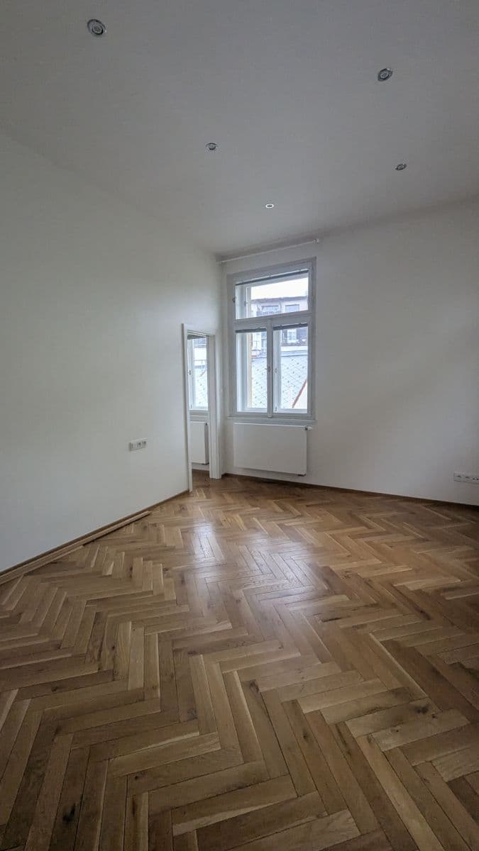 1 bedroom with open-plan kitchen flat to rent, 73 m², Vodičkova, Prague, Prague 1 bedroom with open-plan kitchen flat to rent, 73 m², Vodičkova, Prague, Prague