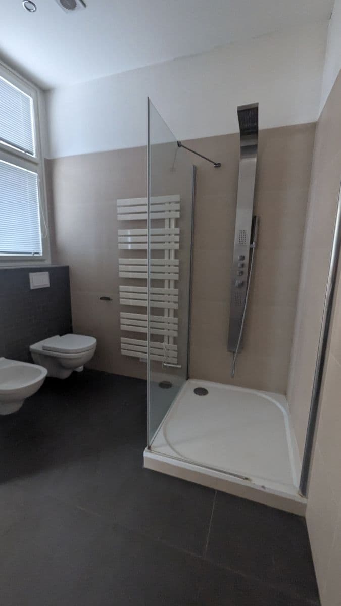 1 bedroom with open-plan kitchen flat to rent, 73 m², Vodičkova, Prague, Prague 1 bedroom with open-plan kitchen flat to rent, 73 m², Vodičkova, Prague, Prague
