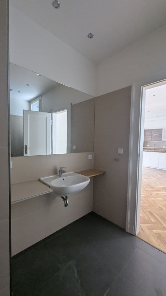 1 bedroom with open-plan kitchen flat to rent, 73 m², Vodičkova, Prague, Prague 1 bedroom with open-plan kitchen flat to rent, 73 m², Vodičkova, Prague, Prague