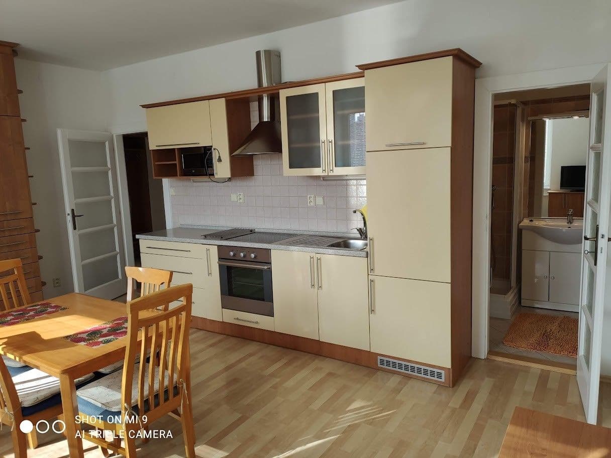 1 bedroom with open-plan kitchen flat to rent, 47 m², Bezručova, Brno, Jihomoravský Region 1 bedroom with open-plan kitchen flat to rent, 47 m², Bezručova, Brno, Jihomoravský Region