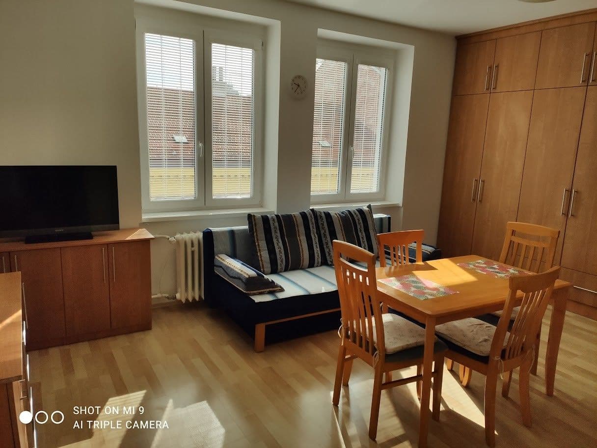 1 bedroom with open-plan kitchen flat to rent, 47 m², Bezručova, Brno, Jihomoravský Region 1 bedroom with open-plan kitchen flat to rent, 47 m², Bezručova, Brno, Jihomoravský Region