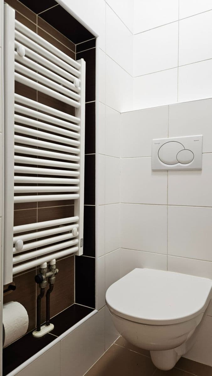 1 bedroom with open-plan kitchen flat to rent, 42 m², Horní, Prague, Prague 1 bedroom with open-plan kitchen flat to rent, 42 m², Horní, Prague, Prague