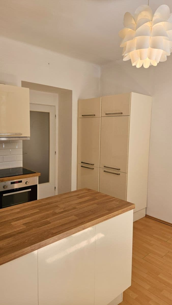 1 bedroom with open-plan kitchen flat to rent, 42 m², Horní, Prague, Prague 1 bedroom with open-plan kitchen flat to rent, 42 m², Horní, Prague, Prague