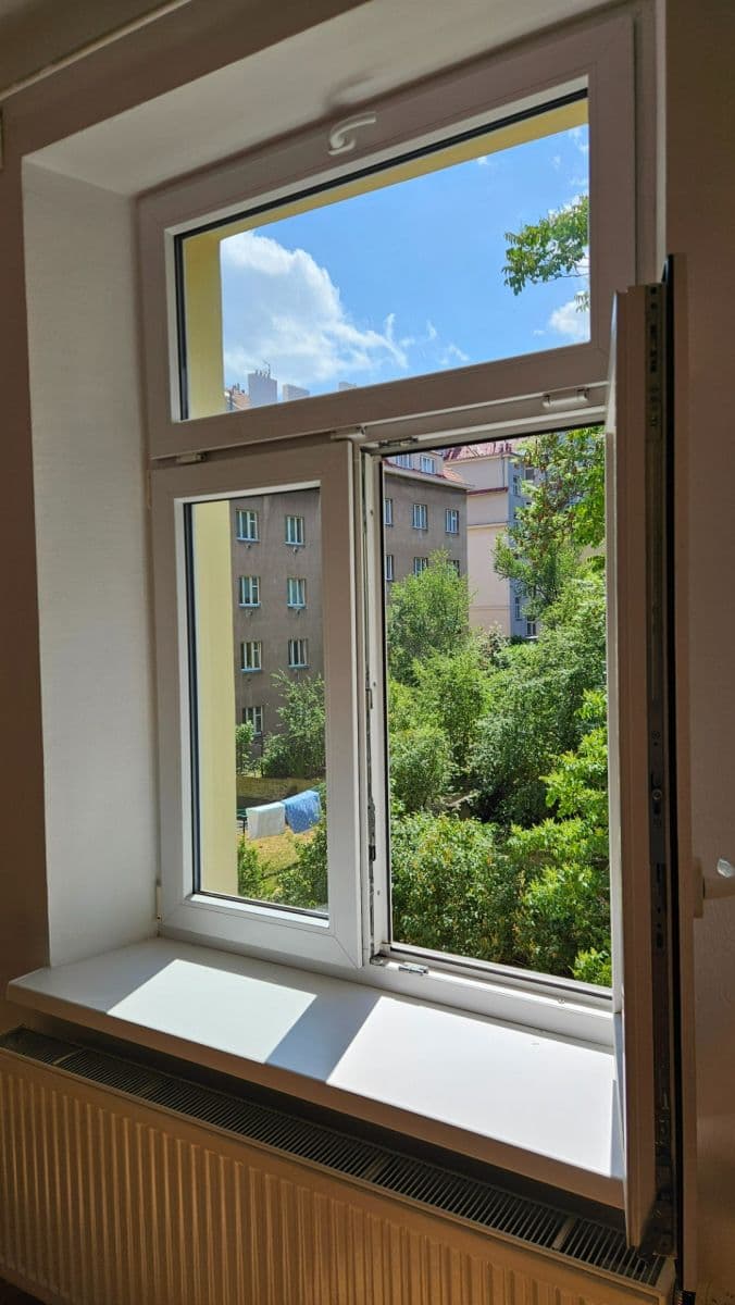 1 bedroom with open-plan kitchen flat to rent, 42 m², Horní, Prague, Prague 1 bedroom with open-plan kitchen flat to rent, 42 m², Horní, Prague, Prague