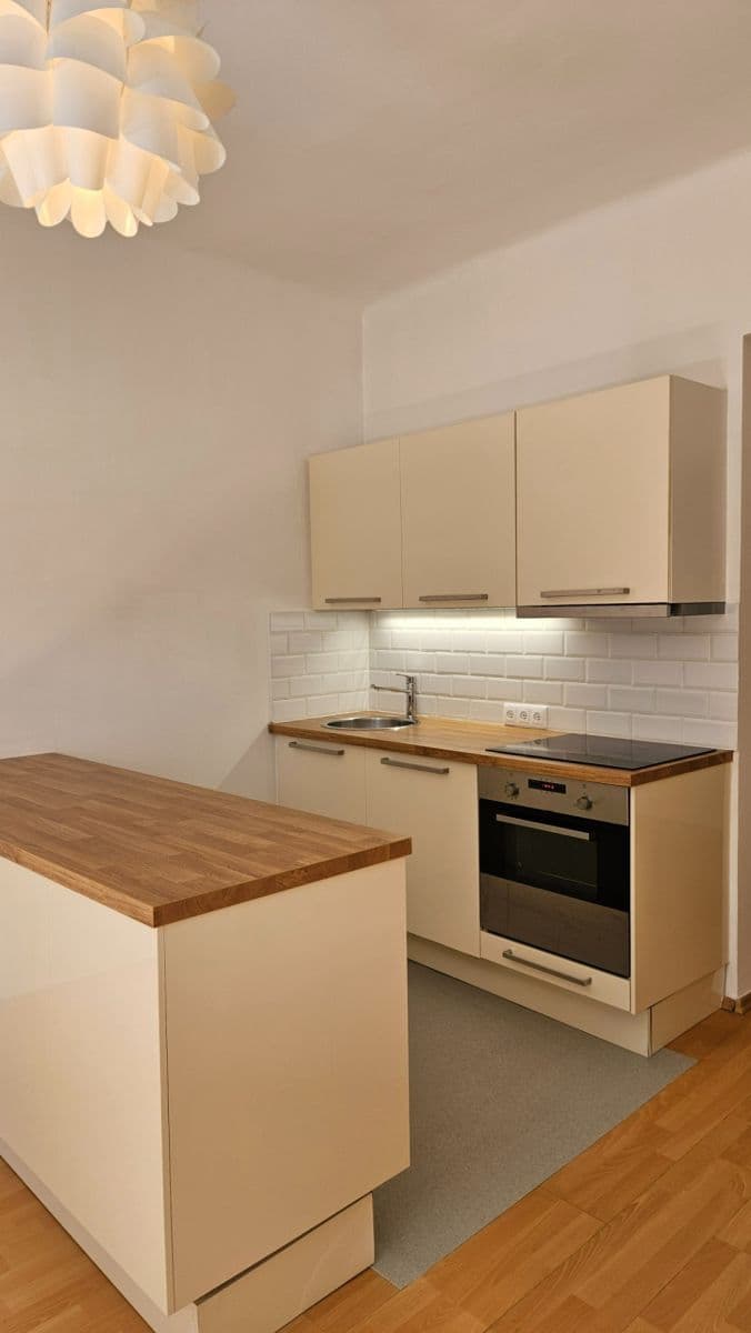 1 bedroom with open-plan kitchen flat to rent, 42 m², Horní, Prague, Prague 1 bedroom with open-plan kitchen flat to rent, 42 m², Horní, Prague, Prague