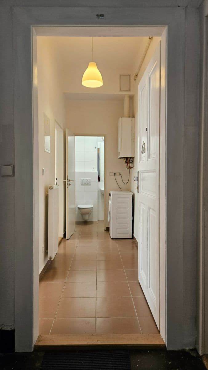 1 bedroom with open-plan kitchen flat to rent, 42 m², Horní, Prague, Prague 1 bedroom with open-plan kitchen flat to rent, 42 m², Horní, Prague, Prague