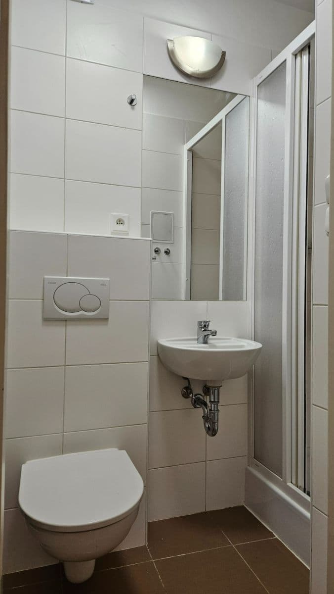 1 bedroom with open-plan kitchen flat to rent, 42 m², Horní, Prague, Prague 1 bedroom with open-plan kitchen flat to rent, 42 m², Horní, Prague, Prague