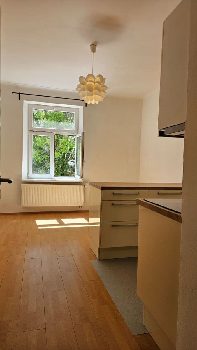 1 bedroom with open-plan kitchen flat to rent, 42 m², Horní, Prague, Prague 1 bedroom with open-plan kitchen flat to rent, 42 m², Horní, Prague, Prague