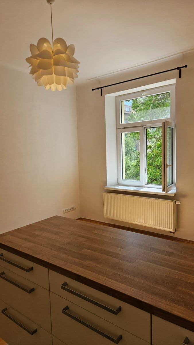 1 bedroom with open-plan kitchen flat to rent, 42 m², Horní, Prague, Prague 1 bedroom with open-plan kitchen flat to rent, 42 m², Horní, Prague, Prague