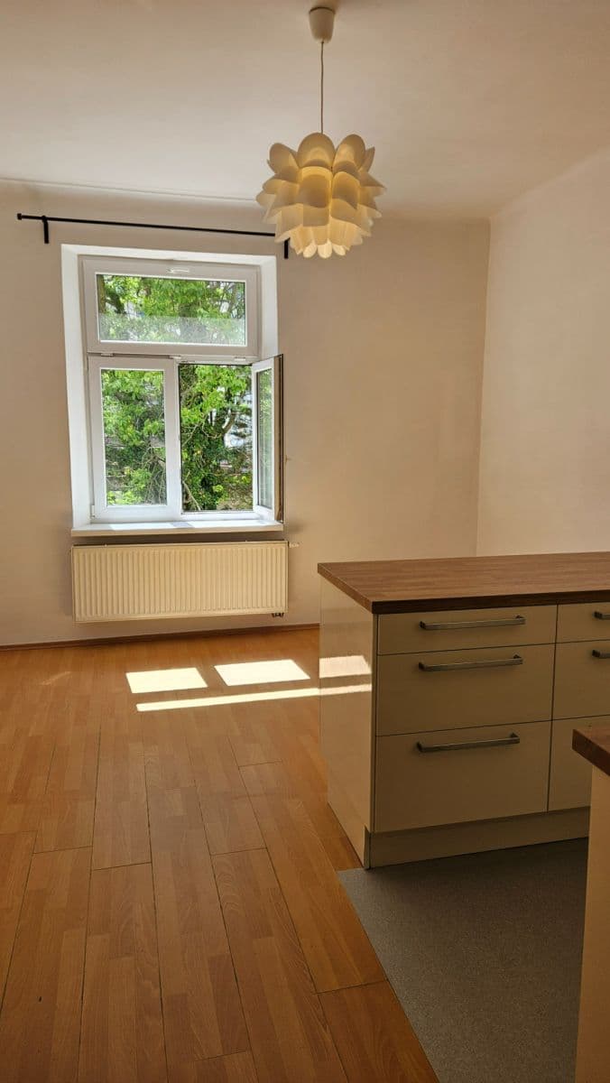 1 bedroom with open-plan kitchen flat to rent, 42 m², Horní, Prague, Prague 1 bedroom with open-plan kitchen flat to rent, 42 m², Horní, Prague, Prague