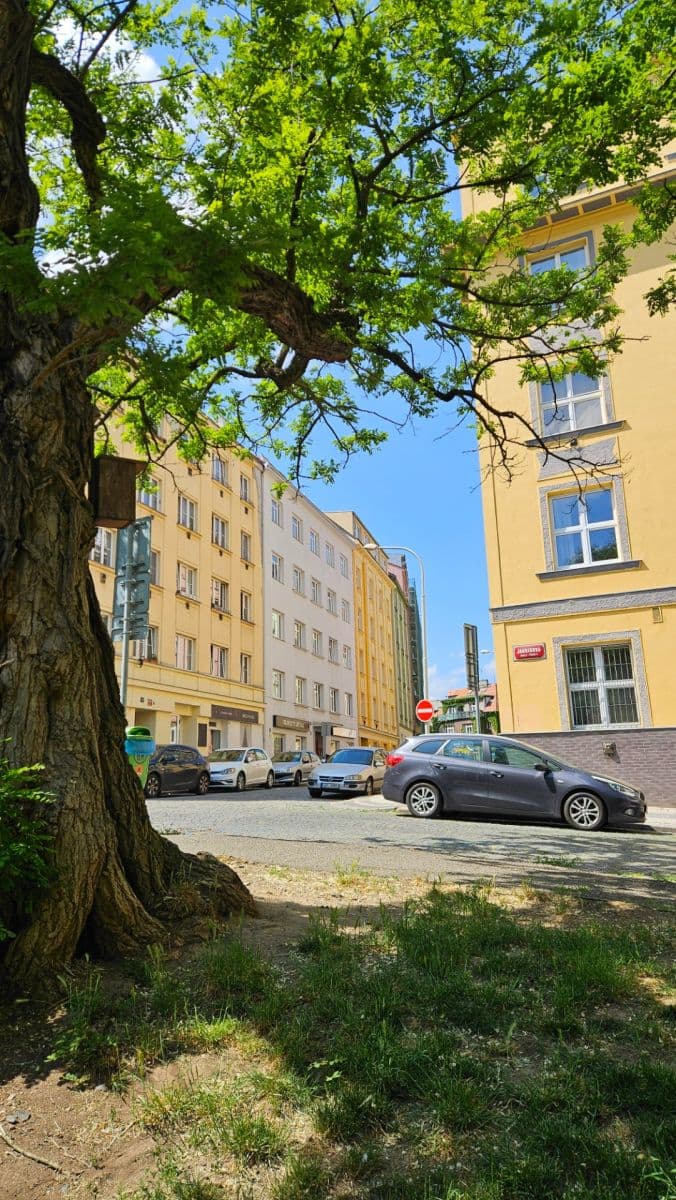 1 bedroom with open-plan kitchen flat to rent, 42 m², Horní, Prague, Prague 1 bedroom with open-plan kitchen flat to rent, 42 m², Horní, Prague, Prague