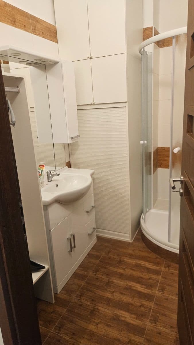 2 bedroom with open-plan kitchen flat to rent, 72 m², 5. května, Prague, Prague 2 bedroom with open-plan kitchen flat to rent, 72 m², 5. května, Prague, Prague