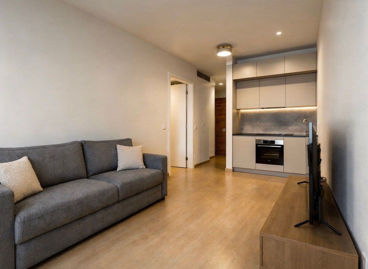 1 bedroom with open-plan kitchen flat to rent, 40 m², Sokolovská, Prague, Prague 1 bedroom with open-plan kitchen flat to rent, 40 m², Sokolovská, Prague, Prague