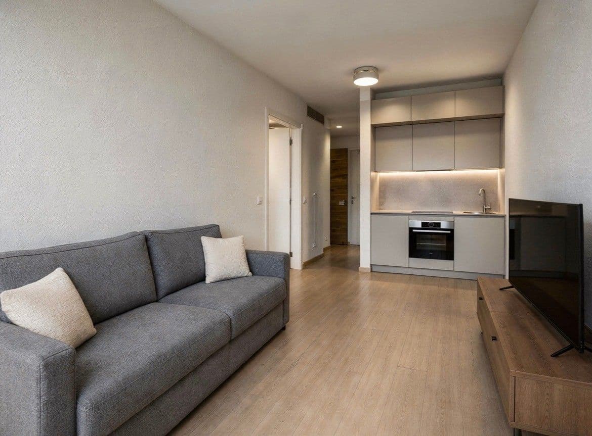 1 bedroom with open-plan kitchen flat to rent, 40 m², Sokolovská, Prague, Prague 1 bedroom with open-plan kitchen flat to rent, 40 m², Sokolovská, Prague, Prague