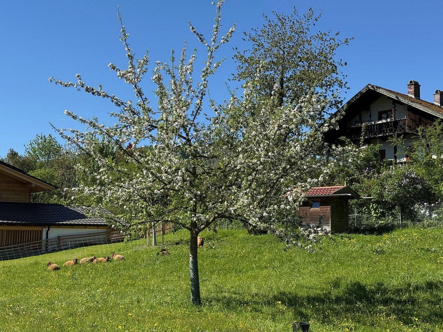 2 bedroom flat for sale, 45 m², Oberaudorf, Bavaria 2 bedroom flat for sale, 45 m², Oberaudorf, Bavaria