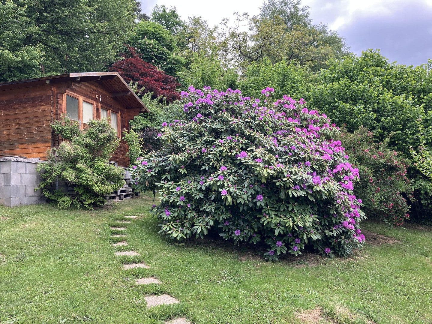 house for sale, 50 m², Lockenhaus, Burgenland house for sale, 50 m², Lockenhaus, Burgenland