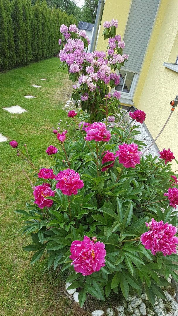 house for sale, 160 m², Türkheim, Bavaria house for sale, 160 m², Türkheim, Bavaria