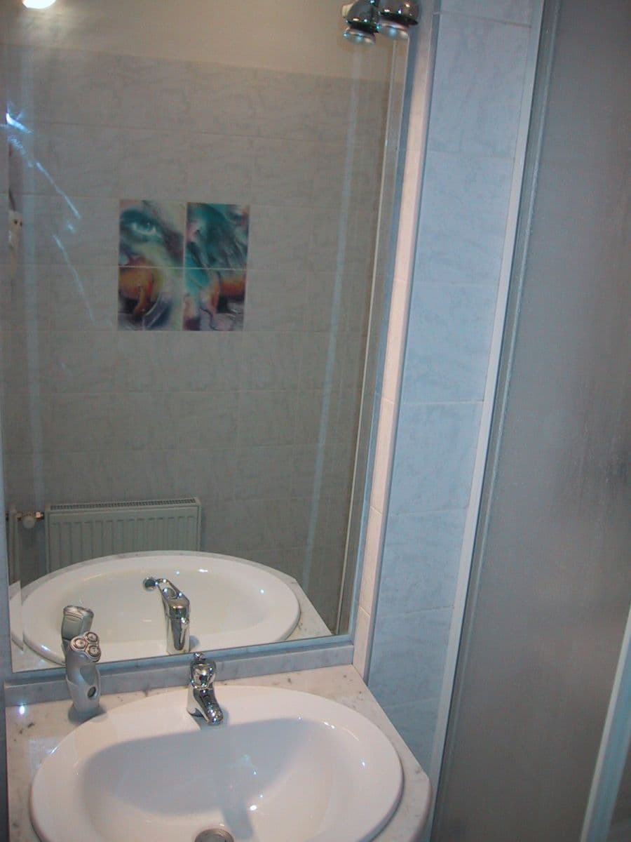 1 bedroom with open-plan kitchen flat to rent, 59 m², Slezská, Prague, Prague 1 bedroom with open-plan kitchen flat to rent, 59 m², Slezská, Prague, Prague