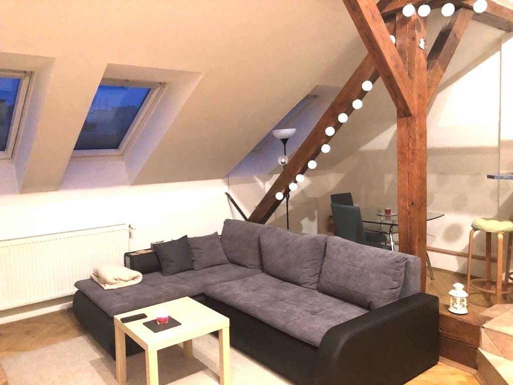 1 bedroom with open-plan kitchen flat to rent, 59 m², Slezská, Prague, Prague 1 bedroom with open-plan kitchen flat to rent, 59 m², Slezská, Prague, Prague
