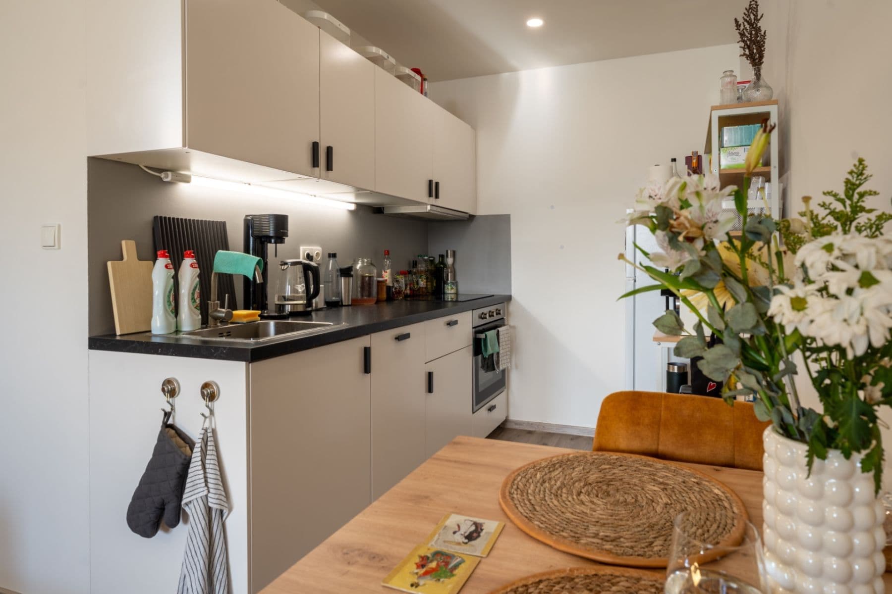 1 bedroom with open-plan kitchen flat for sale, 44 m², Jiránkova, Prague, Prague 1 bedroom with open-plan kitchen flat for sale, 44 m², Jiránkova, Prague, Prague