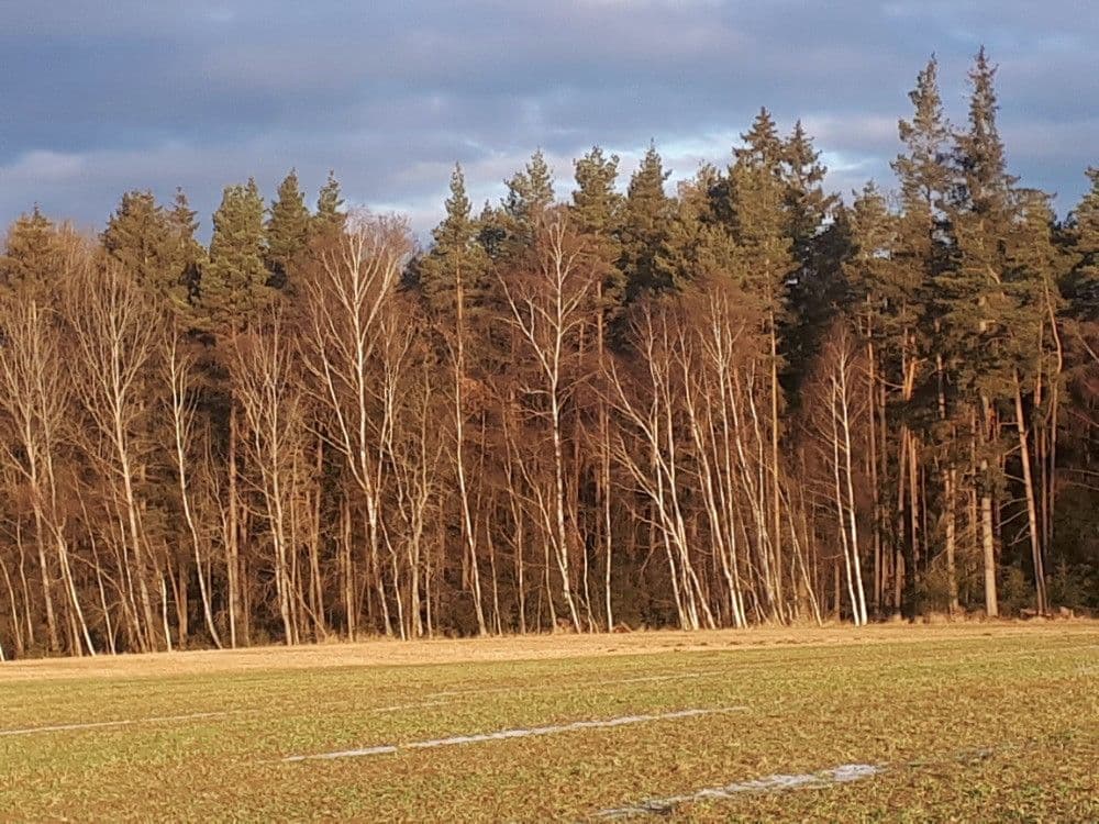 plot for sale, 2,678 m², Chotěmice, Jihočeský Region plot for sale, 2,678 m², Chotěmice, Jihočeský Region
