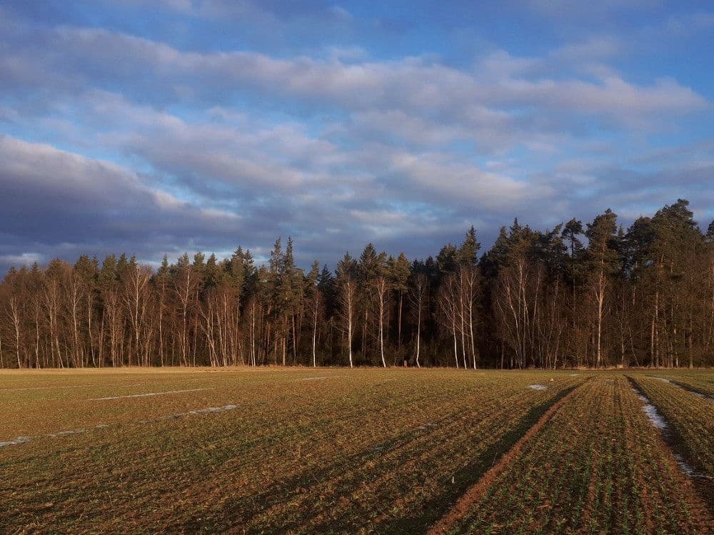 plot for sale, 2,678 m², Chotěmice, Jihočeský Region plot for sale, 2,678 m², Chotěmice, Jihočeský Region