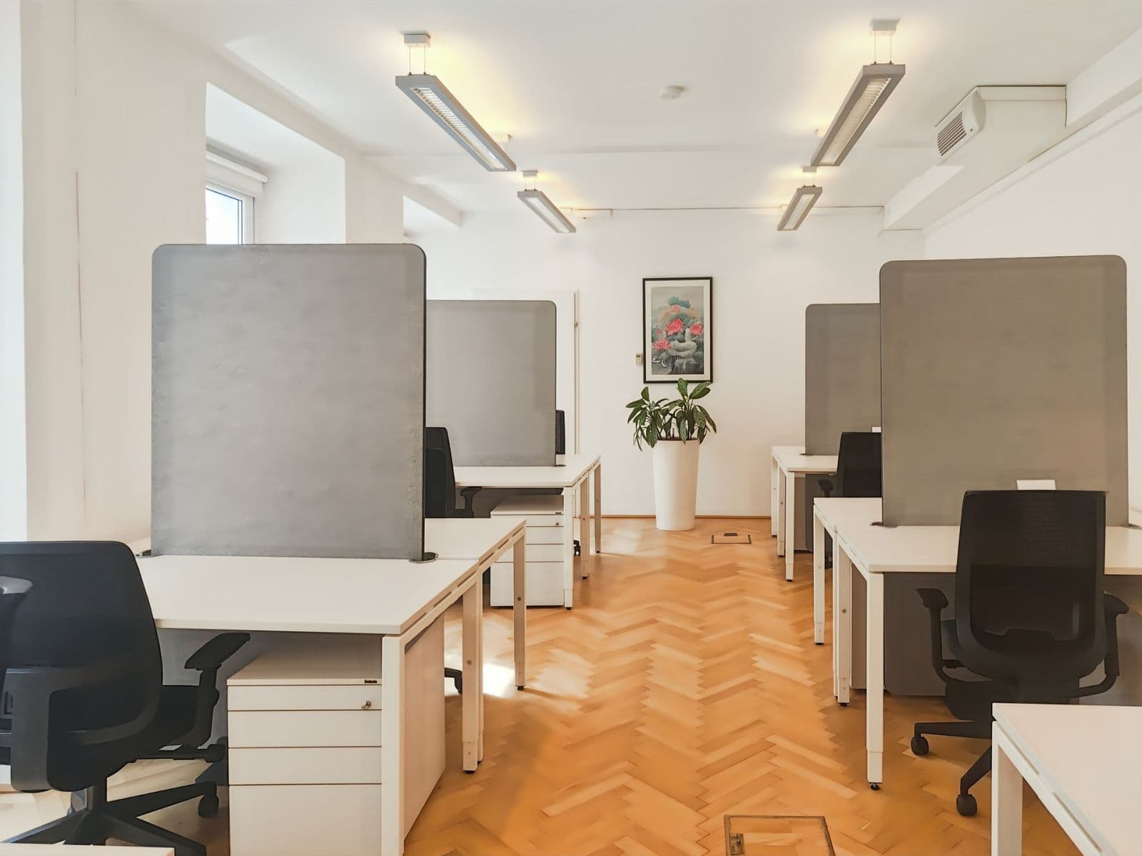 office to rent, 550 m², Graben, Vienna, Vienna office to rent, 550 m², Graben, Vienna, Vienna