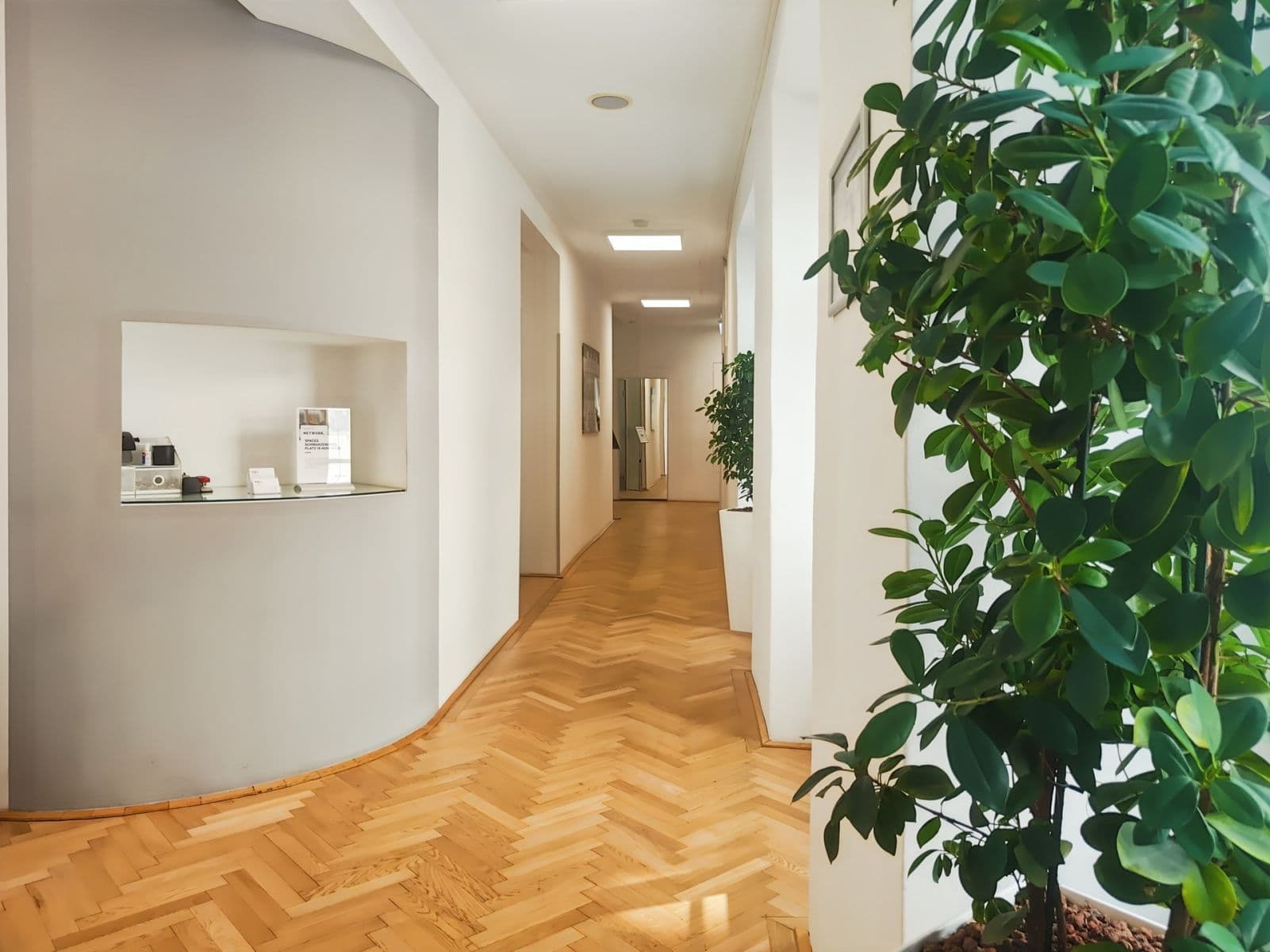 office to rent, 550 m², Graben, Vienna, Vienna office to rent, 550 m², Graben, Vienna, Vienna