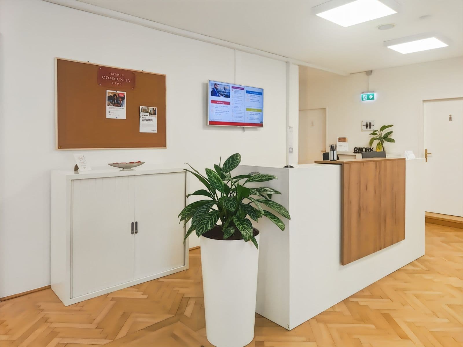 office to rent, 550 m², Graben, Vienna, Vienna office to rent, 550 m², Graben, Vienna, Vienna