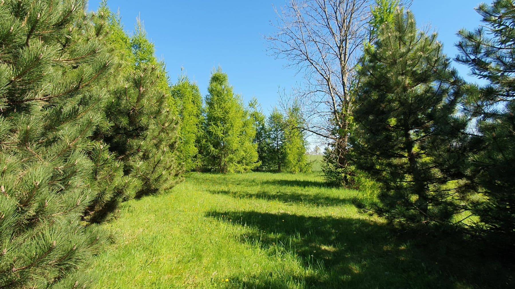plot for sale, 1,096 m², Světlá pod Ještědem, Liberecký Region plot for sale, 1,096 m², Světlá pod Ještědem, Liberecký Region