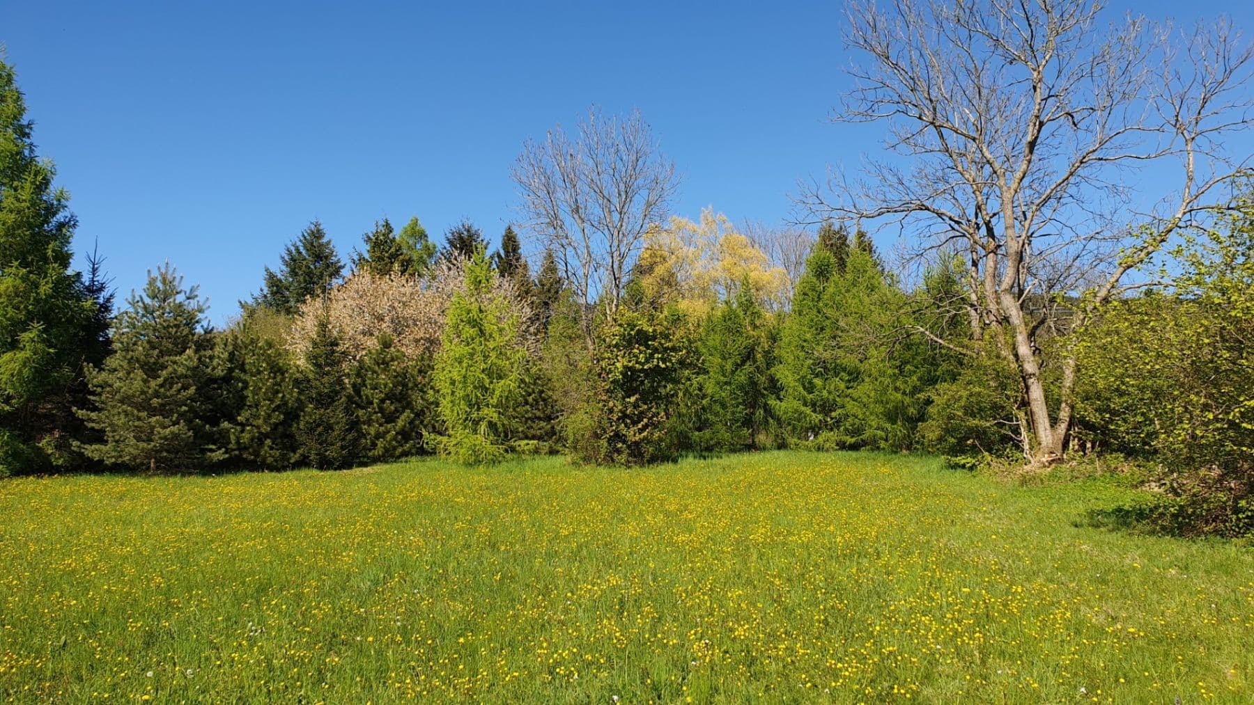 plot for sale, 1,096 m², Světlá pod Ještědem, Liberecký Region plot for sale, 1,096 m², Světlá pod Ještědem, Liberecký Region
