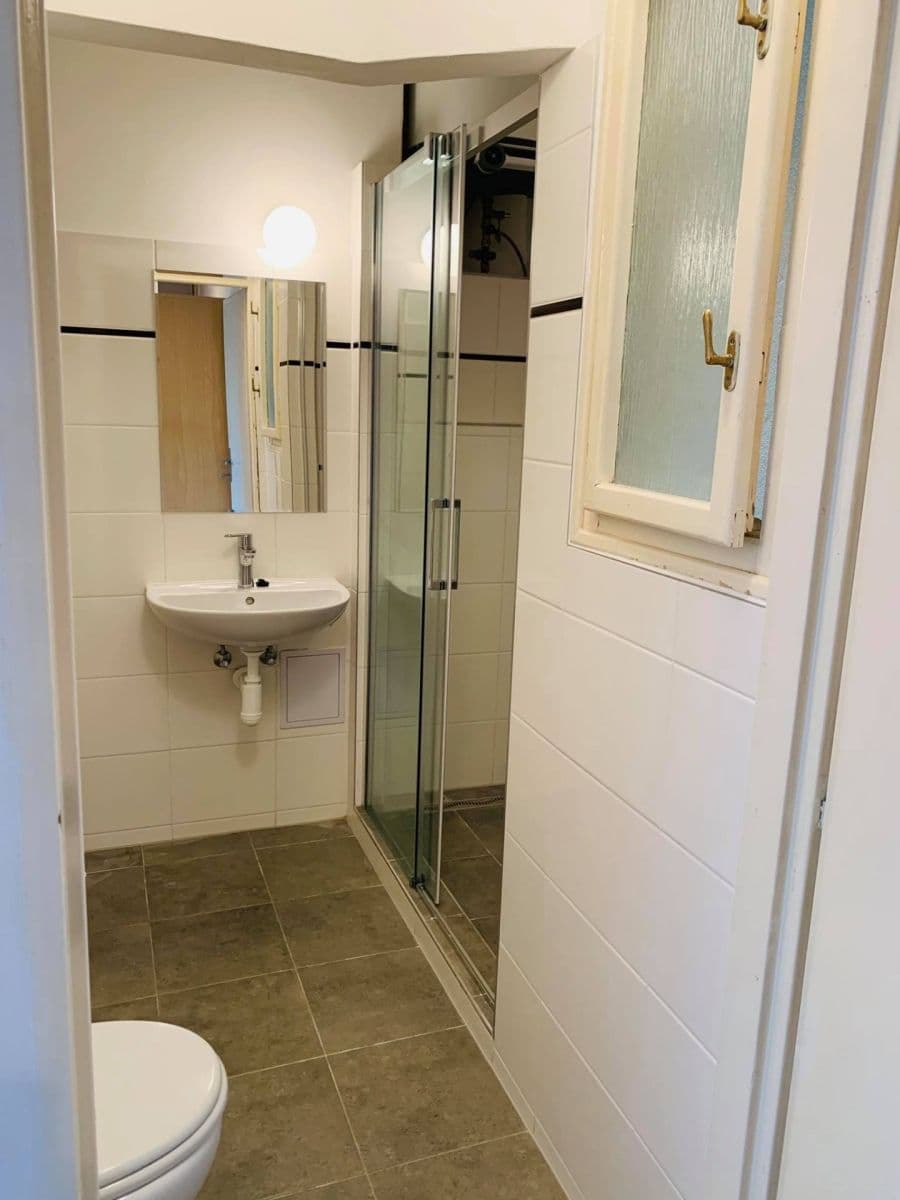 1 bedroom with open-plan kitchen flat to rent, 45 m², Ruská, Prague, Prague 1 bedroom with open-plan kitchen flat to rent, 45 m², Ruská, Prague, Prague