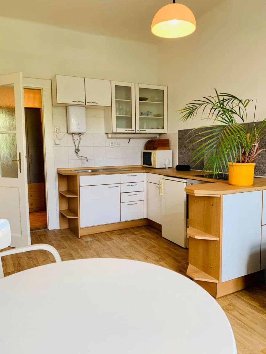 1 bedroom with open-plan kitchen flat to rent, 45 m², Ruská, Prague, Prague 1 bedroom with open-plan kitchen flat to rent, 45 m², Ruská, Prague, Prague