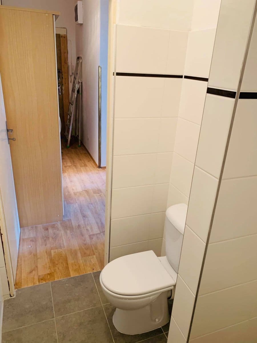 1 bedroom with open-plan kitchen flat to rent, 45 m², Ruská, Prague, Prague 1 bedroom with open-plan kitchen flat to rent, 45 m², Ruská, Prague, Prague