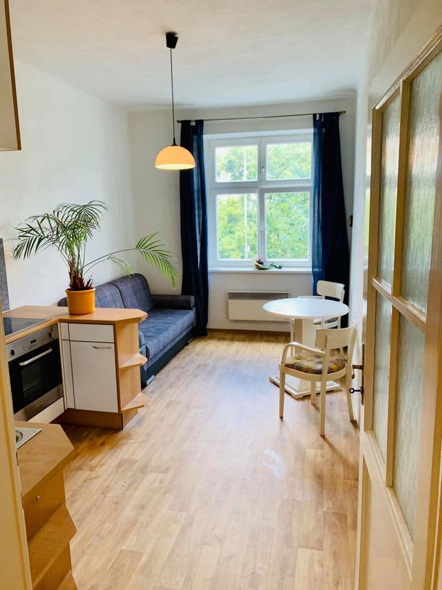 1 bedroom with open-plan kitchen flat to rent, 45 m², Ruská, Prague, Prague 1 bedroom with open-plan kitchen flat to rent, 45 m², Ruská, Prague, Prague
