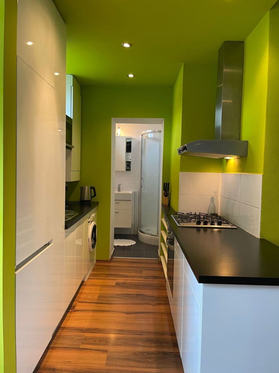 1 bedroom with open-plan kitchen flat to rent, 64 m², Kuldova, Brno, Jihomoravský Region 1 bedroom with open-plan kitchen flat to rent, 64 m², Kuldova, Brno, Jihomoravský Region