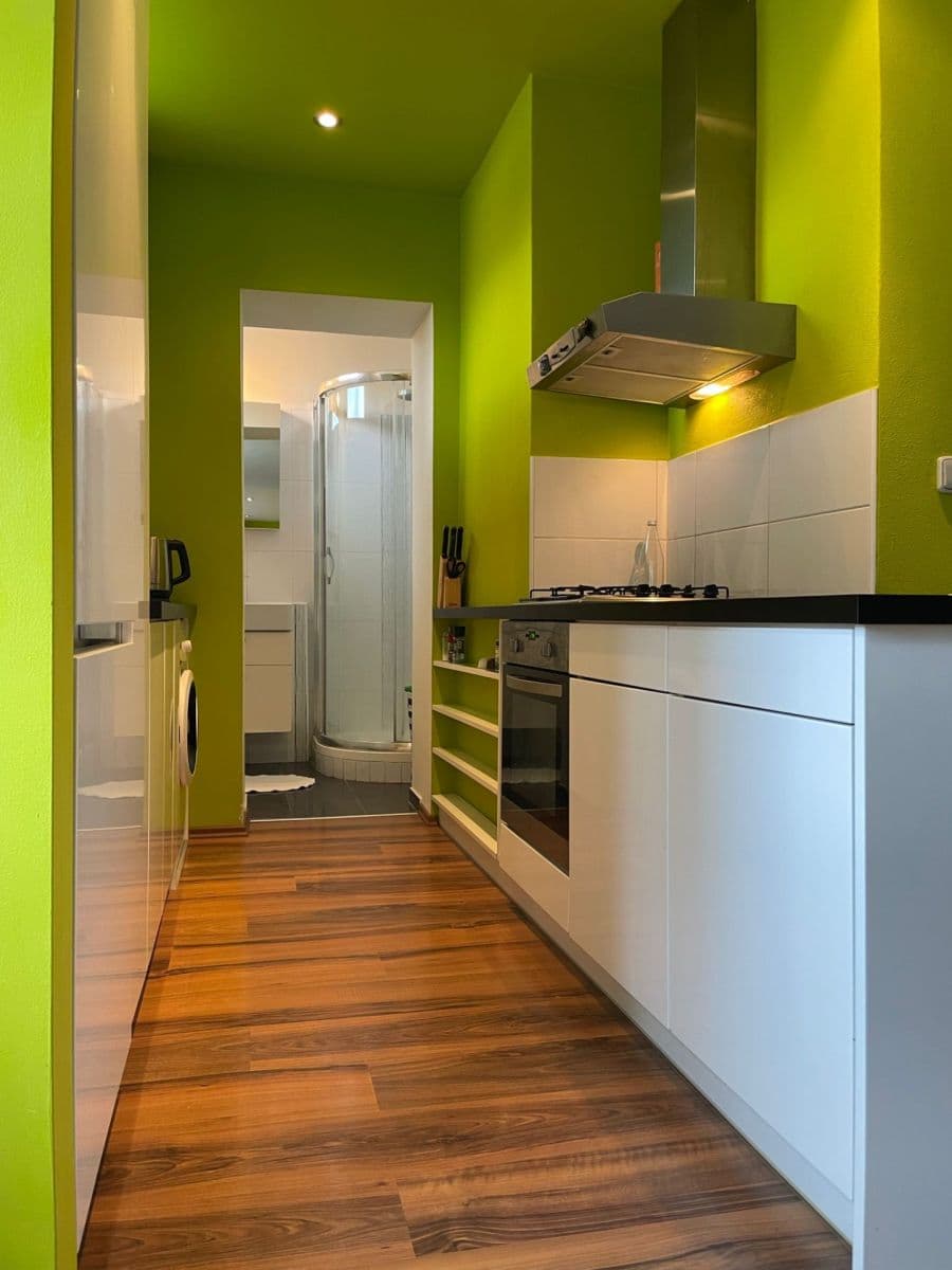 1 bedroom with open-plan kitchen flat to rent, 64 m², Kuldova, Brno, Jihomoravský Region 1 bedroom with open-plan kitchen flat to rent, 64 m², Kuldova, Brno, Jihomoravský Region