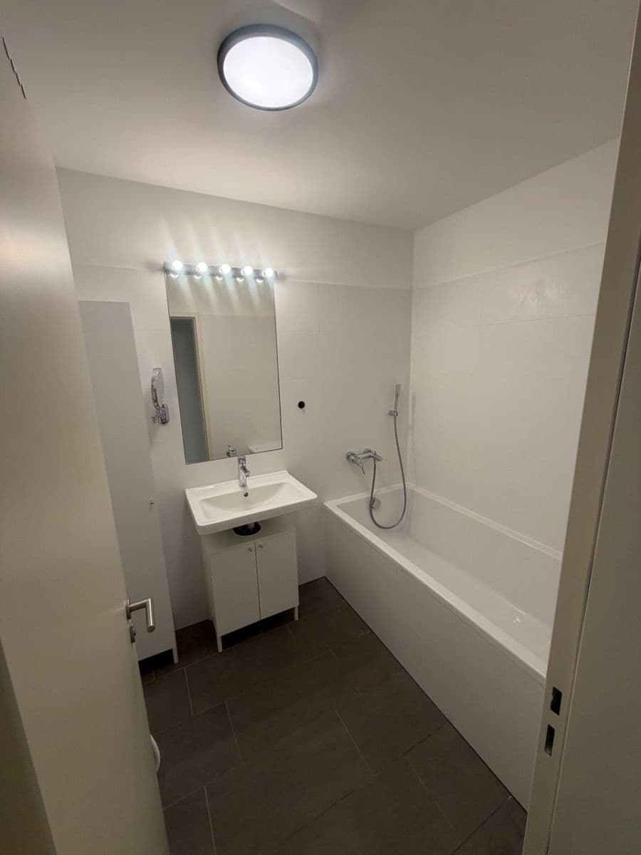 2 bedroom with open-plan kitchen flat to rent, 73 m², Pod Jalovým dvorem, Prague, Prague 2 bedroom with open-plan kitchen flat to rent, 73 m², Pod Jalovým dvorem, Prague, Prague