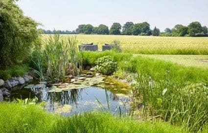 house for sale, 330 m², Jersbek, Schleswig-Holstein house for sale, 330 m², Jersbek, Schleswig-Holstein